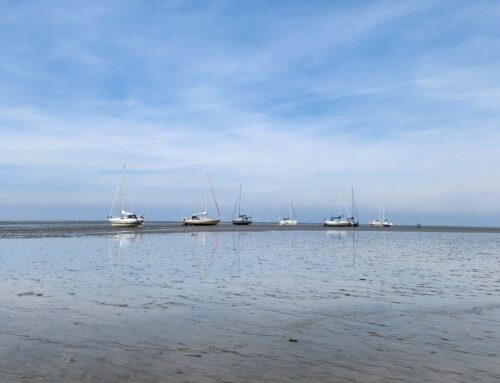 Drying out on the Waddenzee